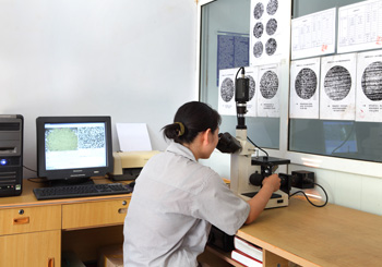 �����Զ�����